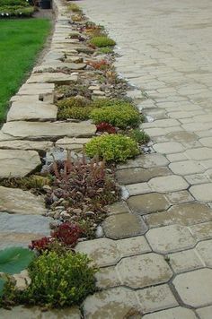 a stone path with plants growing on it in the middle of a driveway next to a house