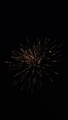 fireworks exploding in the dark sky at night with no one around it to see them