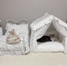 two cats laying on top of white beds in a room