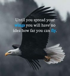 an eagle flying through the air with a quote below it that reads, until you spread your wings you will have no idea how far you can fly