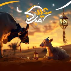 two cows are sitting in the desert at sunset with an arabic calligraphy above them