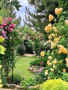 the garden is full of colorful flowers and greenery, including roses in blooming trees