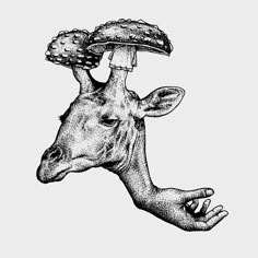 a drawing of a giraffe with mushrooms on it's head in black and white