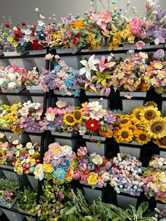 many different types of flowers are on display