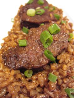 meat and rice with green onions on a white plate, ready to be eaten or served