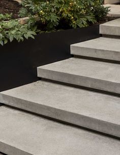 concrete steps with planters in the background