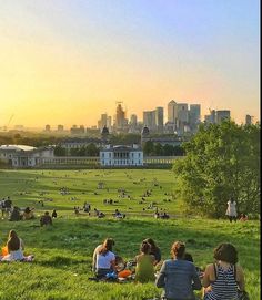 many people are sitting on the grass in front of a large city skyline at sunset