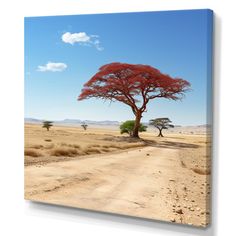 a dirt road leading to a tree with red leaves on it in the middle of nowhere