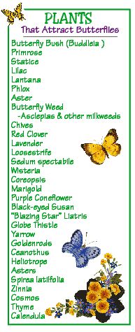 a cross stitch chart with butterflies and flowers on it's side, which reads plants that attract butterflies