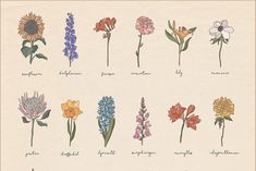 an image of flowers that are drawn in different colors and sizes on a piece of paper