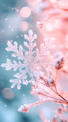 a snowflake is shown in the foreground and blurry background