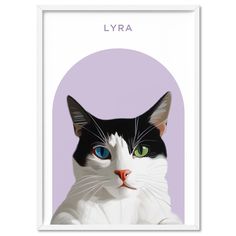 a black and white cat with blue eyes on a purple background is featured in the lyra poster