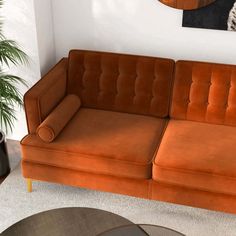 an orange couch sitting next to a wooden table in a living room with a plant on top of it