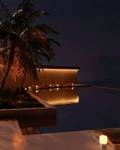 a palm tree sitting next to a pool at night with lights on the water's edge