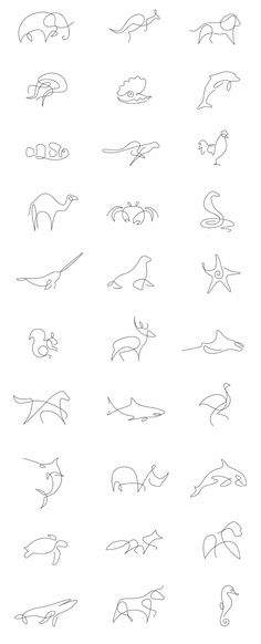 the different types of animals that can be seen in this drawing lesson, which shows how to