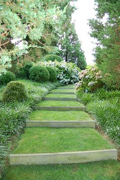 a stone path in the middle of a lush green garden