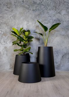 three black vases with plants in them on a wooden floor next to a stone wall