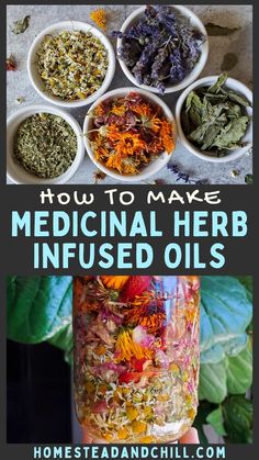 herbs in jars and bowls with text overlay how to make medical herb infused oils