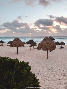 many straw umbrellas are set up on the beach at sunset with people sitting under them