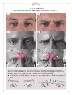 an image of different facial muscles and their corresponding functions in the human body, with instructions on how to use them