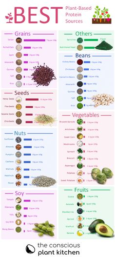 Vegan Protein Sources Chart, Pancakes Low Carb, Plant Based Proteins, Protein Cupcakes, Vegetarian Protein Sources, Smoothies Vegan