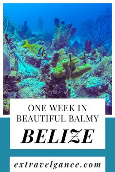 an underwater scene with the words one week in beautiful balmy belze