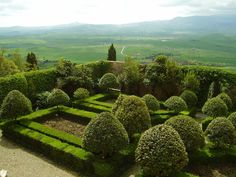 an aerial view of a formal garden with hedges and boxwood trees in the foreground