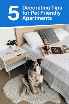 a dog sitting on the floor in front of a bed