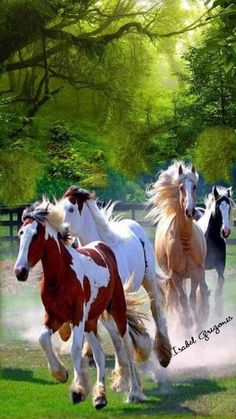 three horses running in the grass near trees