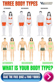 the body types for men and women