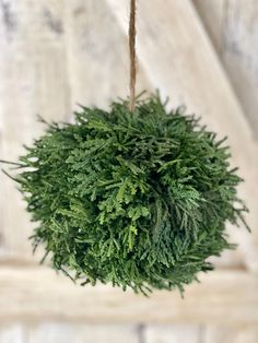 a green plant hanging from a rope on a wooden door hanger in the shape of a ball