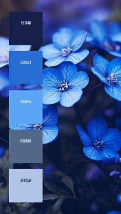 some blue flowers are in the middle of color swatches on a black and white background