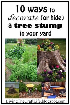 a collage of pictures with the words 10 ways to decorate for hide a tree stump in your yard