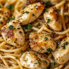 pasta with chicken and parsley on top