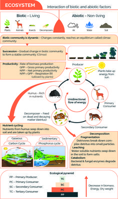 the life cycle of an animal and its environment infographical diagram for ecosytem