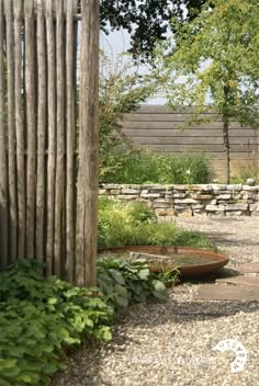 an outdoor garden area with gravel and wooden fenced in areas that include trees, shrubs, and rocks