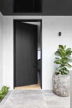 a large potted plant sitting next to a black door