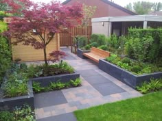 a garden with various plants and trees in the back yard, along with a wooden bench