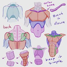 an image of different types of bras