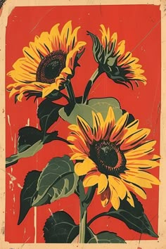 Vintage Matchbox Label with Sunflowers on Red Background Old Poster Aesthetic, Art With Red Background, Vintage Wall Collage Ideas, Vintage Illustration Wallpaper, Sunflower Drawing Aesthetic, Sunflower Art Drawing, Red Background Flower, Red Background Painting, Wallpaper Backgrounds Red