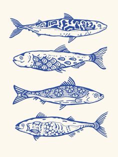 three different types of fish are shown in blue ink on a white background, with the words