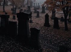 an old cemetery with tombstones and trees in the fog