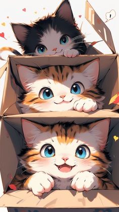 two kittens are sitting in a box with their heads on each other's shoulders