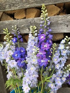 purple and white flowers are in a blue vase on a wooden table next to logs