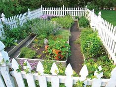 a white picket fence surrounding a garden filled with lots of plants