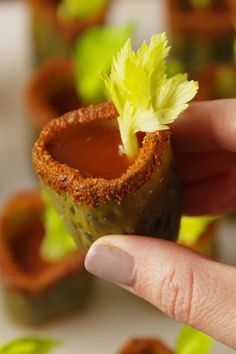 a person holding up a small plant in their hand