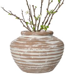 a white and brown striped vase with flowers in it's bottom half, on a white background