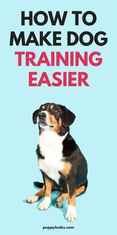 a dog sitting in front of a blue background with the words how to make dog training easier