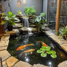 a fish pond with water lilies in it