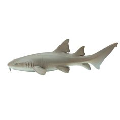 Nurse Shark Toy - Sea Life Toys by Safari Ltd. Shark Toy, Nurse Shark, Shark Family, Wild Safari, Animal Figures, Sealife, Animal Figurines, Catfish, West Africa